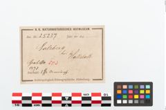 Etikett zu Bronzebuckelarmreif (NHMW-PRAE-025257)